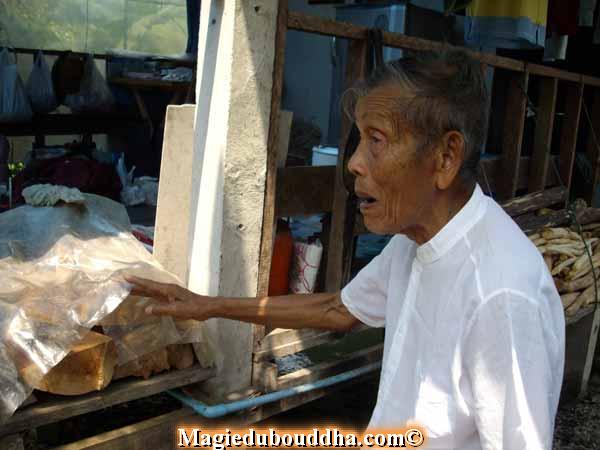 Bois magique en Thaïlande.